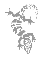 gecko